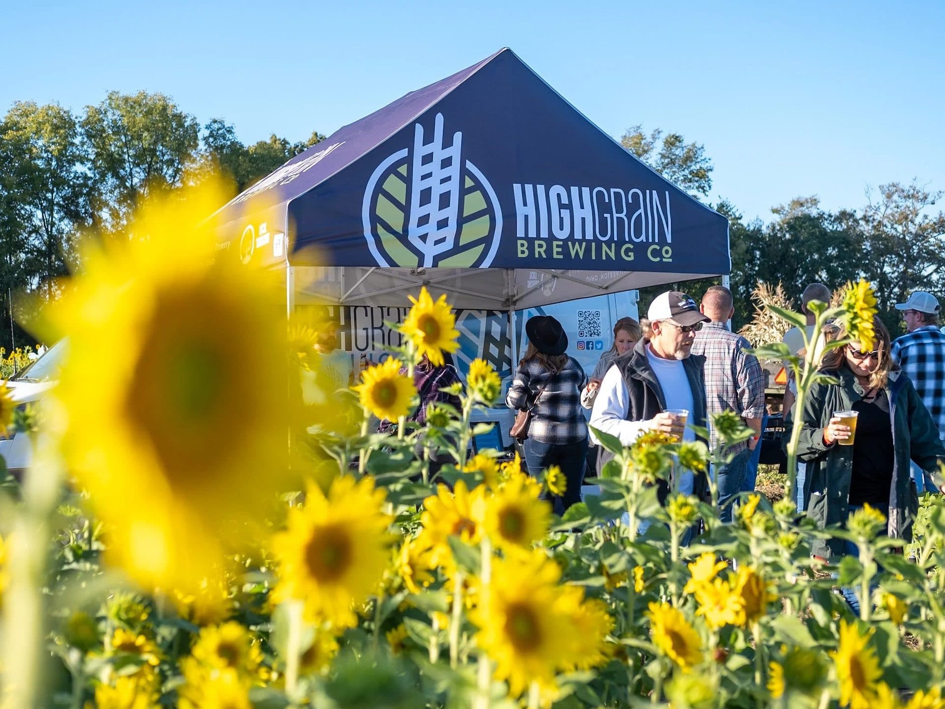 People enjoying a festival at highgrain tent in a sunflower field on a sunny day.